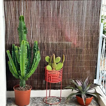 With Terrace Near The Center Appartement *